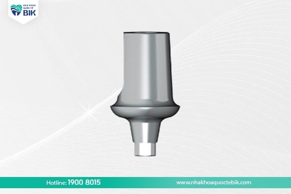 Standard abutment