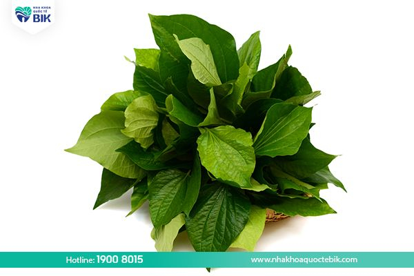 How to treat tooth decay in pregnant women with betel leaves