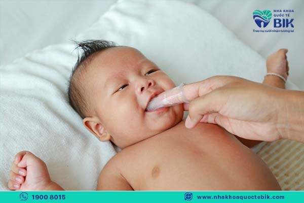 baby teeth care for babies from 6 to 8 months old