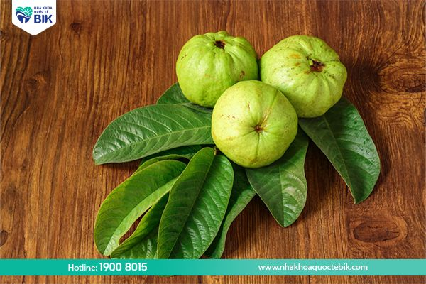 Using guava leaves to treat molar cavities