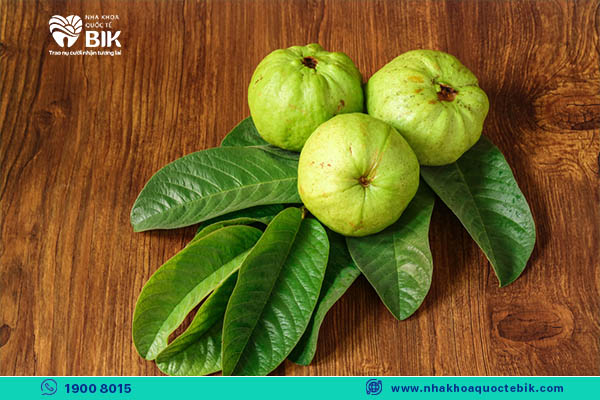 guava leaves treat toothache