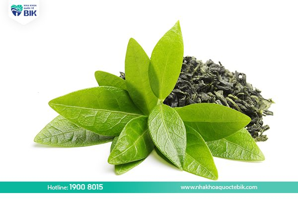 Green tea leaves support the treatment of tooth decay