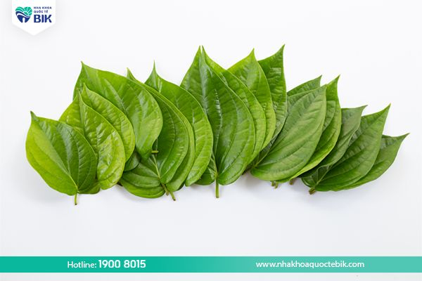 Betel leaves help reduce tooth decay for 5-year-old children