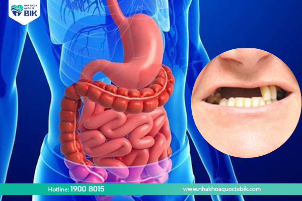 How does tooth loss affect the digestive system?