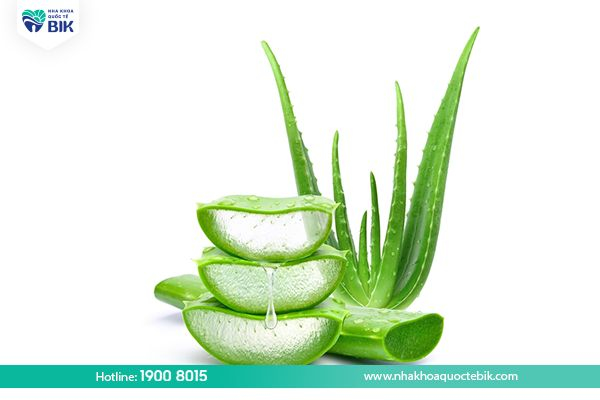 Aloe vera effectively treats receding gums