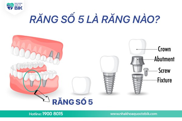 rang-so-5-la-rang-nao